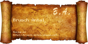 Brusch Antal névjegykártya